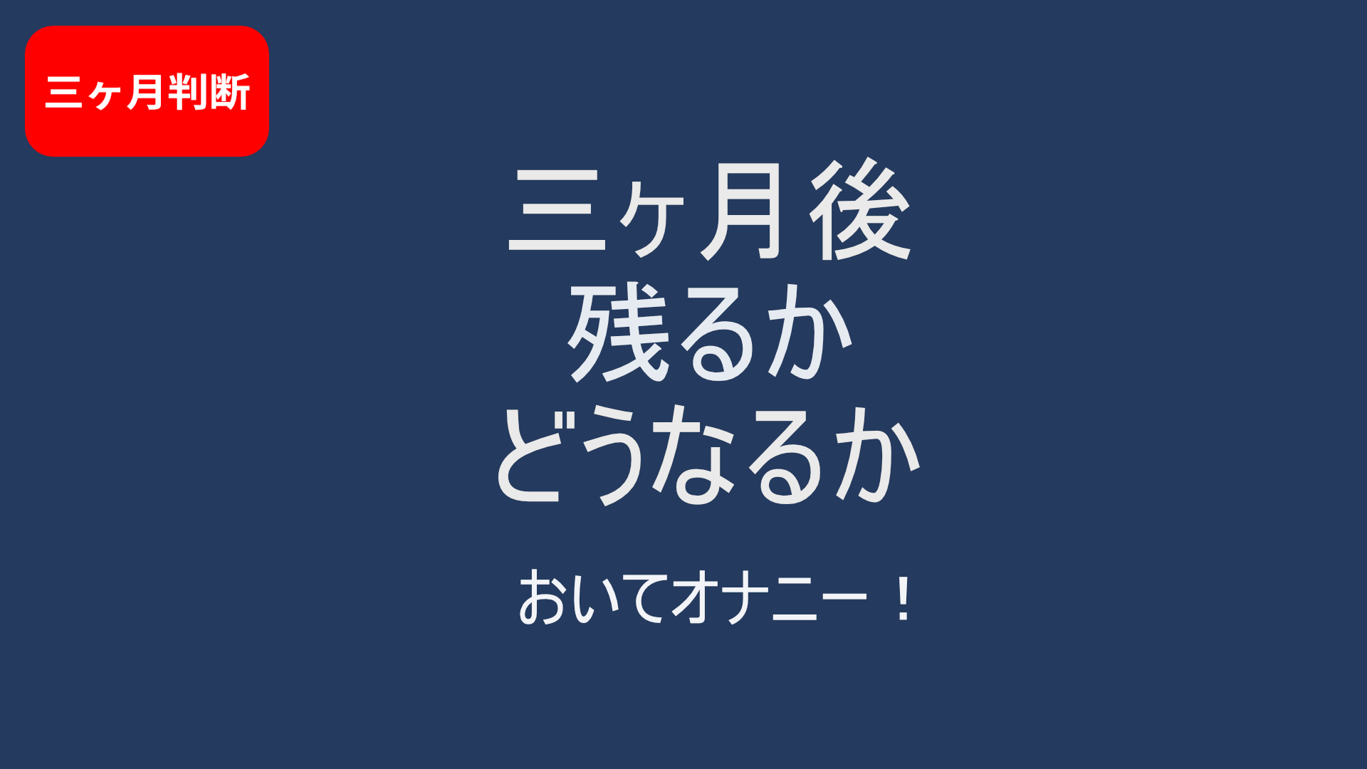 【三ヶ月使用レビュー】おいてオナニー！は生活に残った？｜使い続けた最終判断