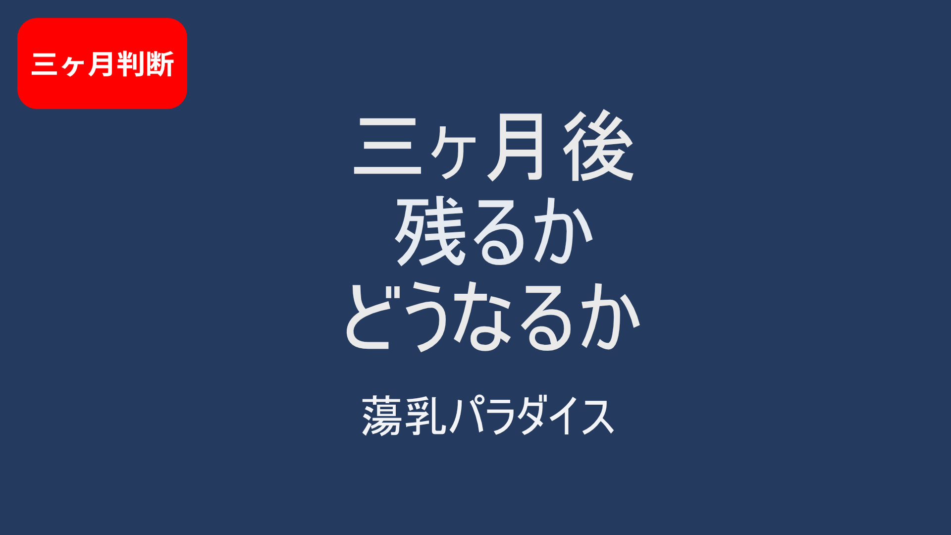 【三ヶ月使用レビュー】蕩乳パラダイスは生活に残った？｜使い続けた最終判断