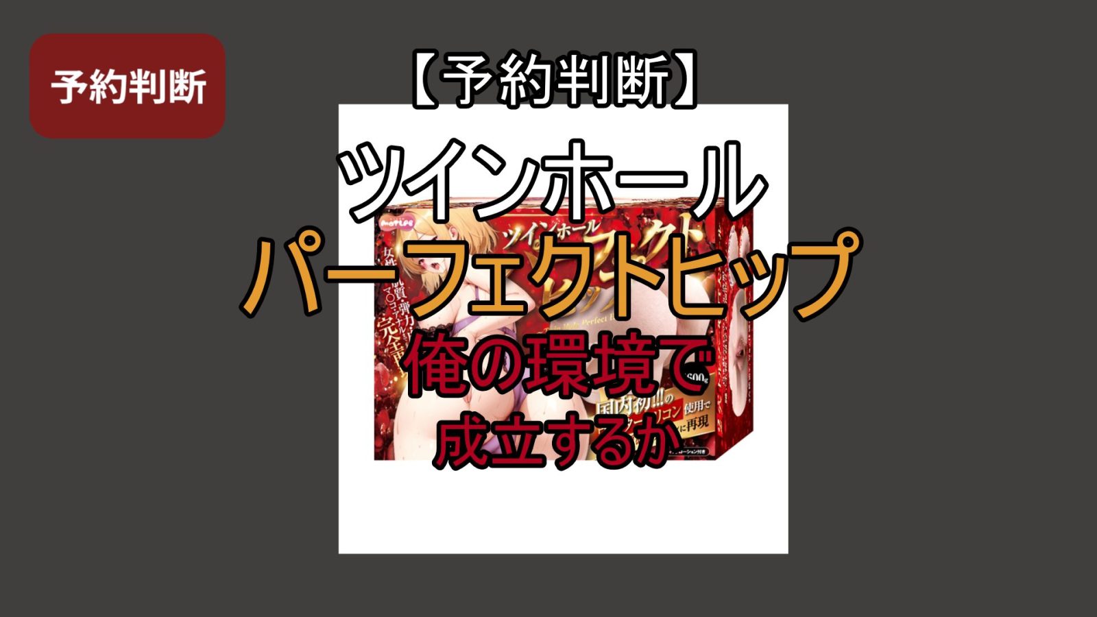 【予約段階の判断】ツインホール パーフェクトヒップは生活に残るのか|今回は見送った理由